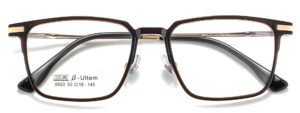 Valencia Prescription Clip-On Sunglases and Eyeglasses
